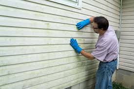 Best Insulated Siding Installation  in Trumansburg, NY